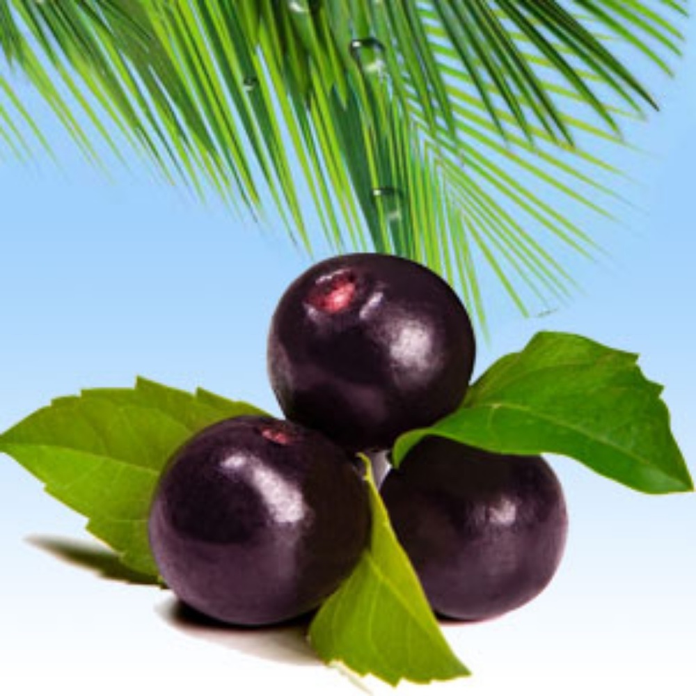 Acai Berry Hand Poured Soy (6.5oz) Candle